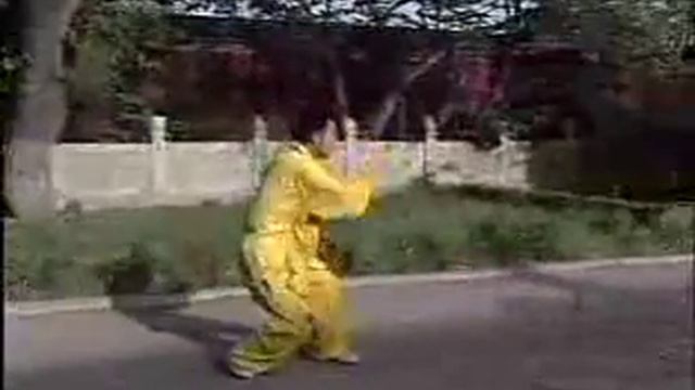 Синъицюань: Таолу Сун