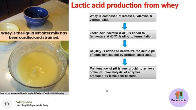 Scope of microbes | BSc Botany 3rd year | Microbiology notes смотреть онлайн