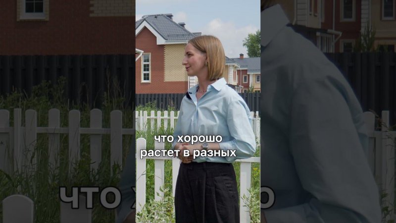 Растения которые не требуют ухода  #ландшафтныйдизайн #сад #дом