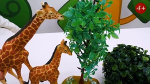 Collecta (Коллекта) — Копии фигурок животных