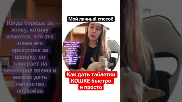 Как дать коту/кошке таблетки/лекарство, чтобы было быстро и не причиняло моральную боль обоим)#коты