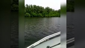 Лодка пвх Антей 420 ( посейдон)