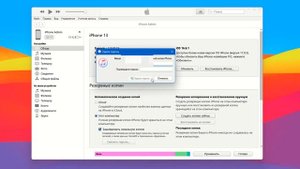 Как сделать резервную копию iPhone на компьютер