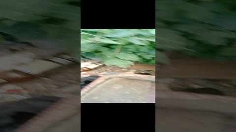 заброшка