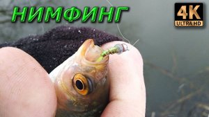 НИМФЫ. Мормышинг, пришла Весна!