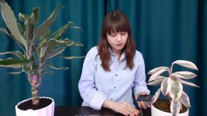 МУЖЧИНА ПО СУДЬБЕ💞ИДЁТ В ТВОЮ ЖИЗНЬ, ЧТОБЫ ИСПОЛНЯТЬ ТВОИ ЖЕЛАНИЯ❤🔥расклад на будущее