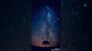 Elnur Mürşüdlü - Neylərəm (İradə İbrahimova cover)