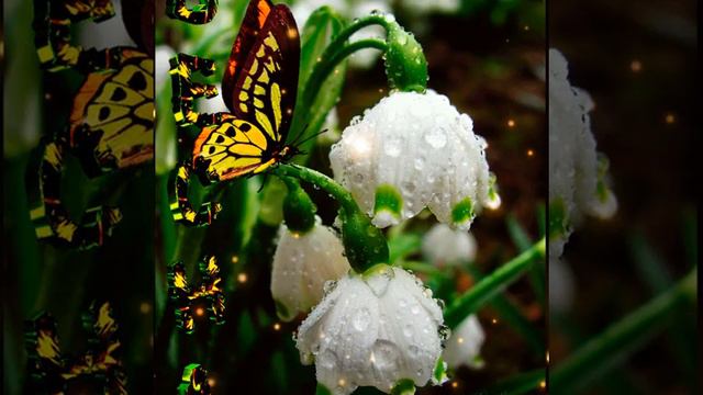 Видео поздравление с днём рождения Вика смотреть онлайн