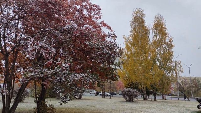 Прекрасный осенний день 🍂 #снег ❄️ / Beautiful autumn day 🍂 #snow ❄️ смотреть онлайн