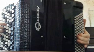 Лизгинка! На баяне!