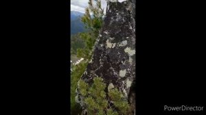 Пик Порожистый 2023