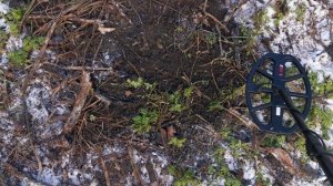 Minelab X-Terra Pro - Тест на 1 копійку 1936. #металлоискатель #металошукач #minelab #xterrapro