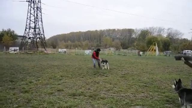 ОКД ВЕО Страж  Гефест (Марс) 6 мес смотреть онлайн