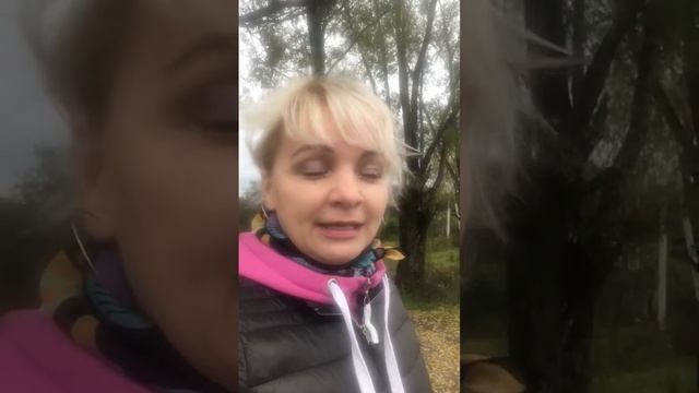Ландшафтная компания "4 СЕЗОНА". Природный ландшафт