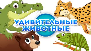 Удивительные животные - Познавательное видео для детей