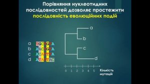 Систематика - наука про різноманітність організмів (для школярів)