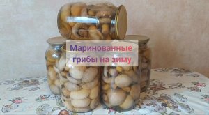 МАРИНОВАННЫЕ ШАМПИНЬОНЫ НА ЗИМУ?