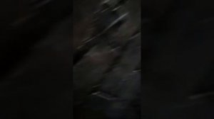 Ремонт троса сцепления газель некст