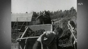 Enfants placés, les dossiers de la honte - 