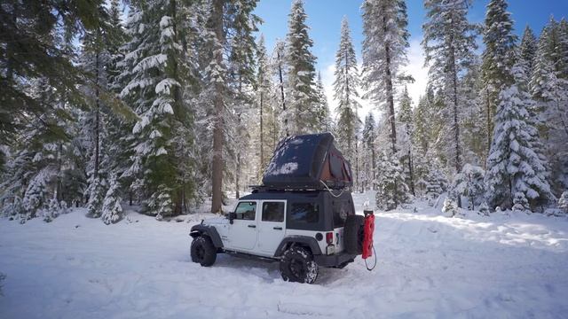 Solo Winter Camping in Oregon - Bushcraft Campfire Cooking смотреть онлайн