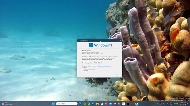 Windows 11 23H2 will be a small update and possible slowdown of features in 2024 смотреть онлайн