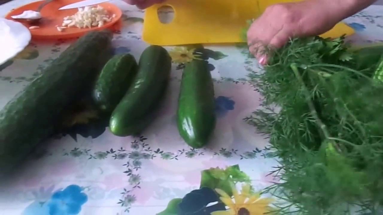 Рецепт быстрого приготовления домашних малосольных огурчиков.