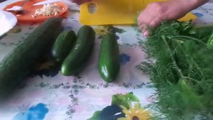 Рецепт быстрого приготовления домашних малосольных огурчиков.