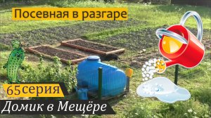 Сделал тёплые грядки, установил бочку для полива, посадил огурцы и кабачки. Домик в Мещёре, серия 65