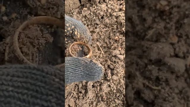 НАШЁЛ ЦАРСКОЕ ЗОЛОТО 56 ПРОБЫ