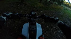 ? Husqvarna Svartpilen 401 Pure Sound | Offroad ?