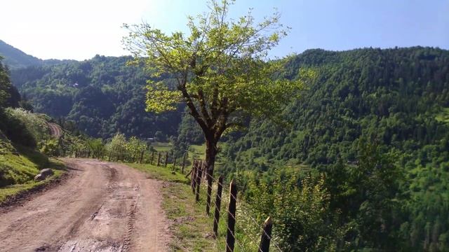 Горы Грузии, Аджария. Mountains of Georgia, Adjara
