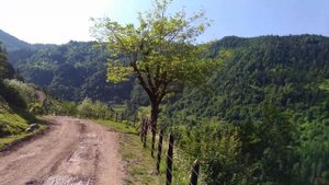 Горы Грузии, Аджария. Mountains of Georgia, Adjara