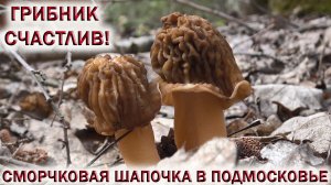 ?ГРИБНИК СЧАСТЛИВ!?СМОРЧКОВАЯ ШАПОЧКА И СТРОЧКИ ГИГАНТСКИЕ В ЛЕСАХ ПОДМОСКОВЬЯ.?Грибы 2022 май