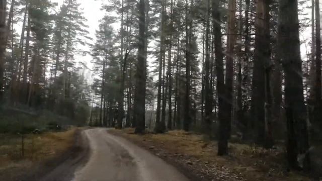 КАК ПРОЕХАТЬ НА РОДНИК ЗА ВОДОЙ РАЙОН ДЕРЕВНИ ЧЕРНОСИТОВО