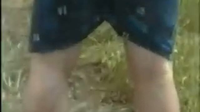 Сенаж 2006г Заготовка сенажа на полях совхоза Краснополянский с Красная Поляна.