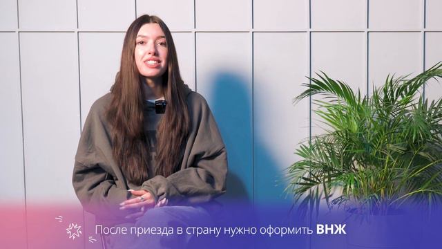 Как иммигрировать за границу в 2024  году без проблем