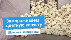 Заморозка и упаковка цветной капусты. Шоковая заморозка овощей. Промышленное оборудование для завода