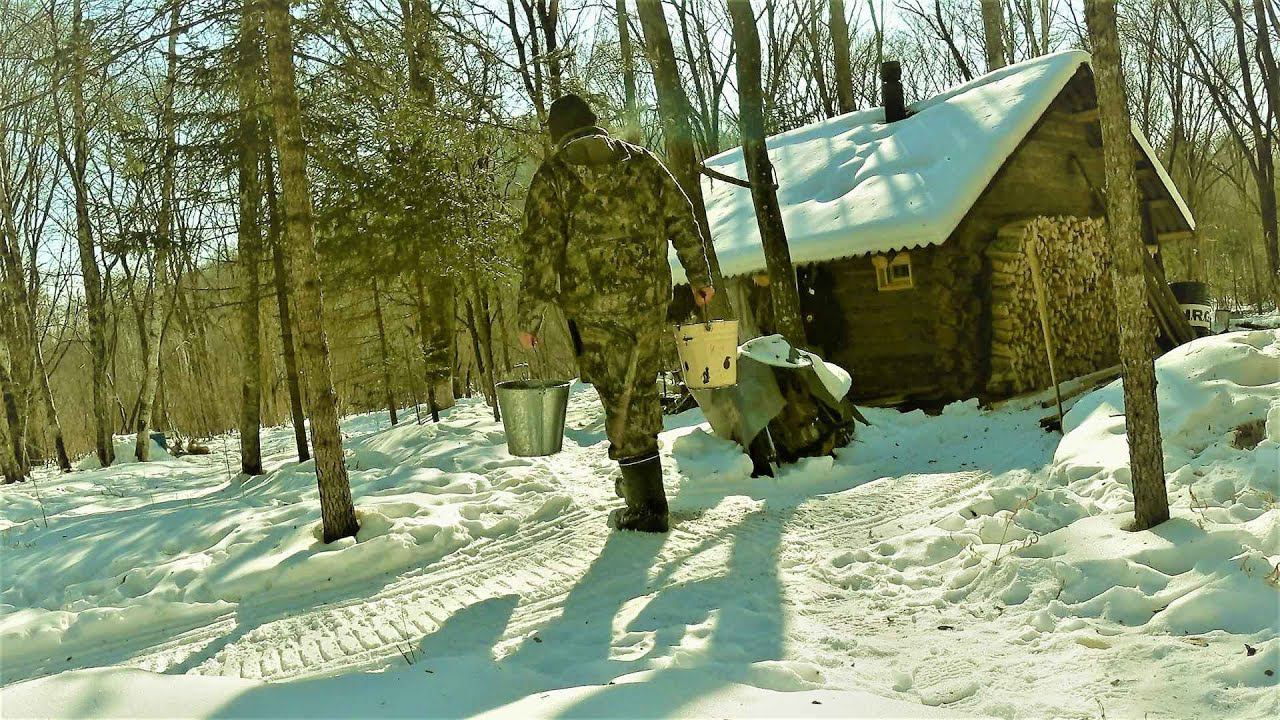 НЕСКОЛЬКО ДНЕЙ В ТАЙГЕ, В ОДИНОЧЕСТВЕ. смотреть онлайн