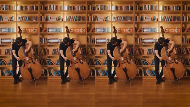 Black or White Double Bass