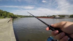 Серебряный Ручей JIG PRO длина 2.4 5-32