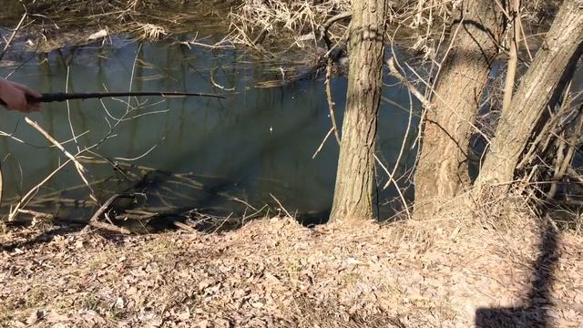 Ведро рыбы за час !!! Рыба не влазит в САПЕТ !!! смотреть онлайн