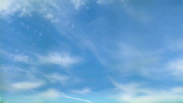 Пение птиц в лесу под голубым небом / звуки природы смотреть онлайн