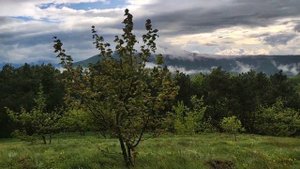 Поход по горе Демерджи одним днем