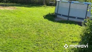 Убираем индюков Хайбрит Конвертер/Вес тушек/Это очень выгодно