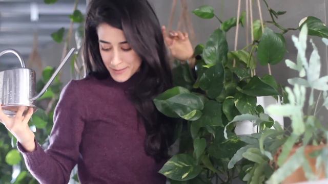 A day in the life of Pick Up Limes 👩🏻🌾 смотреть онлайн