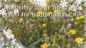 Любите друг друга,за то что вы есть... Трогательные стихи о взаимной любви.