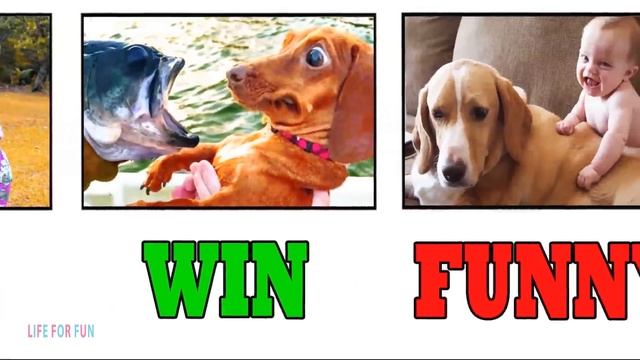 Я РЖАЛ ДО СЛЕЗ? ПРИКОЛЫ / Смешные Видео / Самые смешные смутьяны дети делают все что застряли смотреть онлайн