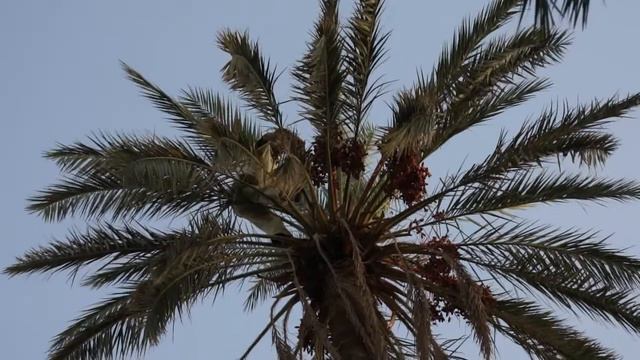 M4H06232.MP4 смотреть онлайн