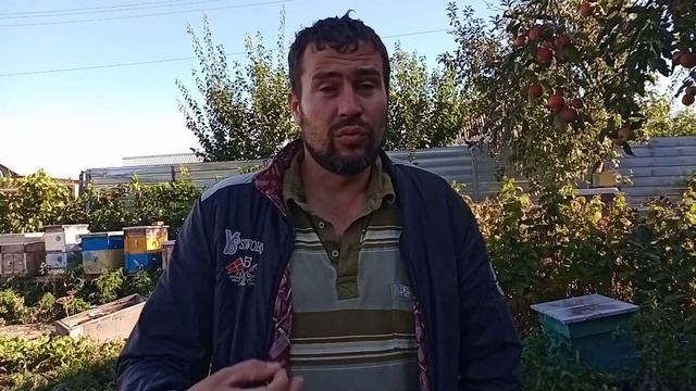 Что нужно для оформления дотации на пчел...подводные камни и разные нюансы. смотреть онлайн