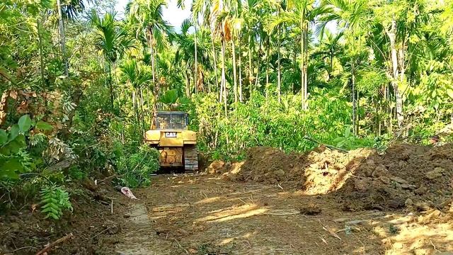 Areca Nut Tree Plantations: The Role Of Bulldozers In Road Construction || Caterpillar Bulldozer